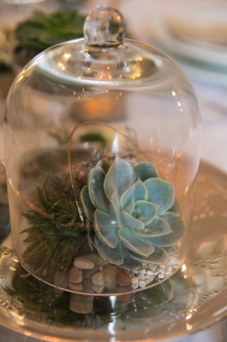 Terrarium Decor Terrarium Decor